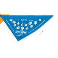 Printed Triangular Rally Flag